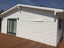 Best Custom Trim and Detailing for Siding  in Ly Lake, IL